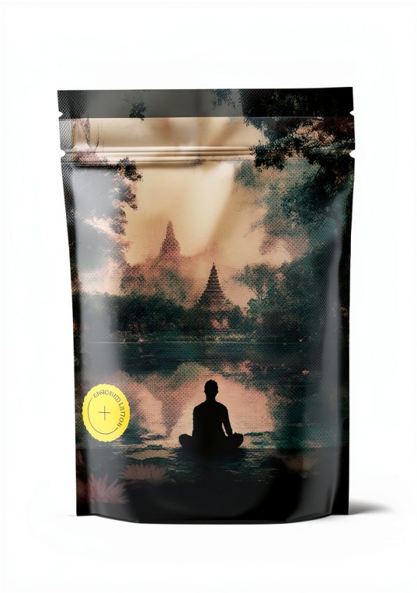 Good Press Philosophy Spiritual Growth English eBook-0