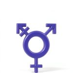Transgender Studies Kindle eBook – 88 Page Self Help Guide-0