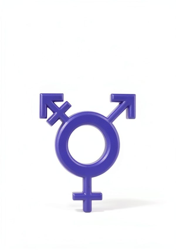 Transgender Studies Kindle eBook – 88 Page Self Help Guide-0